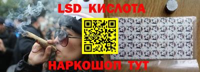 крисы Беслан