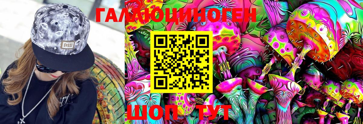 Псилоцибиновые грибы MAGIC MUSHROOMS  Вход с VPN  Киселёвск 