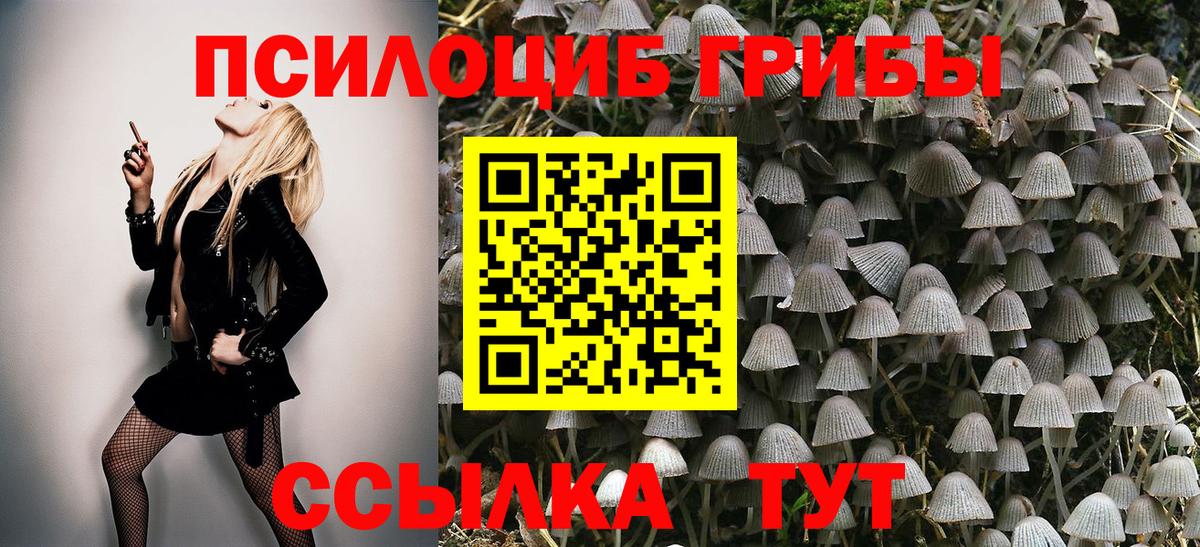 Галлюциногенные грибы мицелий Киселёвск